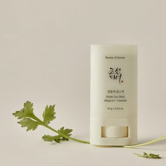 Beauty of Joseon Matte Sun Stick Mugwort + Camelia SPF 50 PA++++